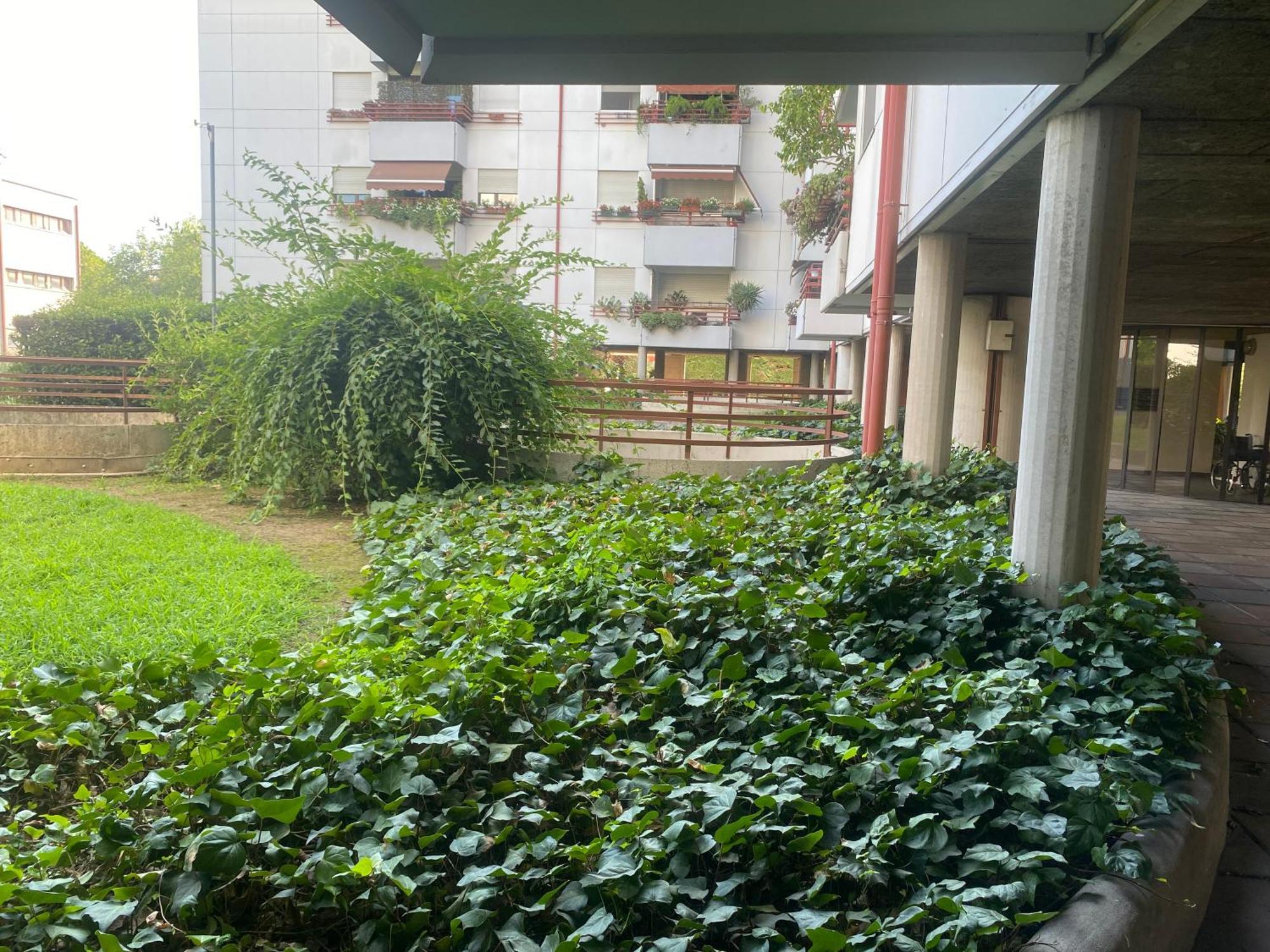 La Belle Vue Apartment Verona Luaran gambar